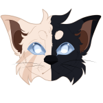 VultureOfTheStars's Avatar