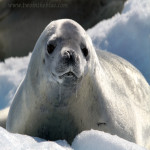 TheOneAlone's Avatar