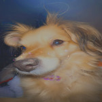 Avatar of Sunshiny47