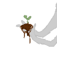 Thumbnail for MYO-109: the soilhoarder