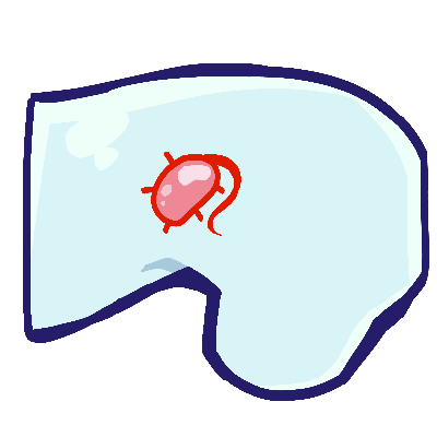 Bacterial Symbiont (Feral)
