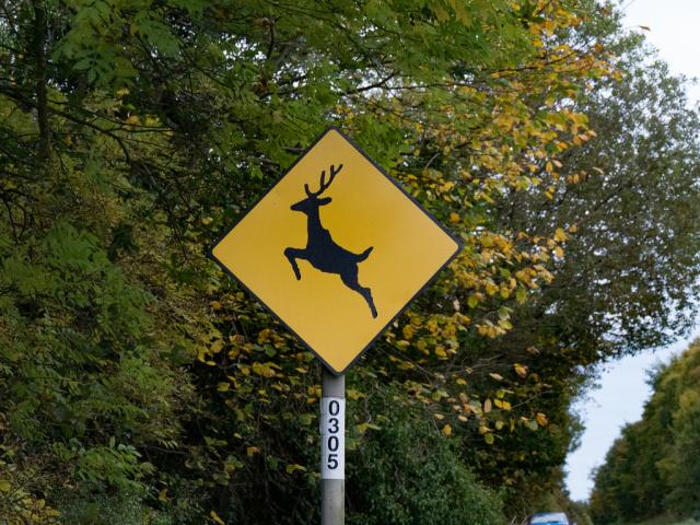 Deermmyx🦌Crossing